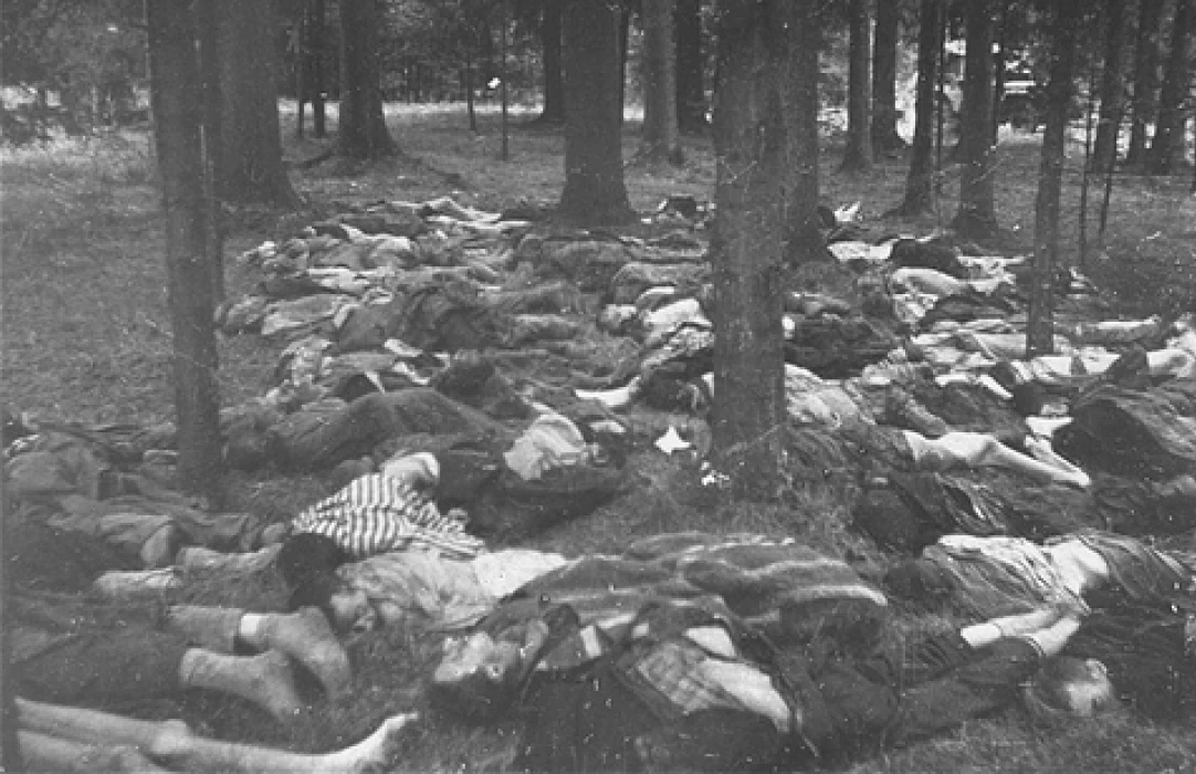 Home, Hohensinn Architektur