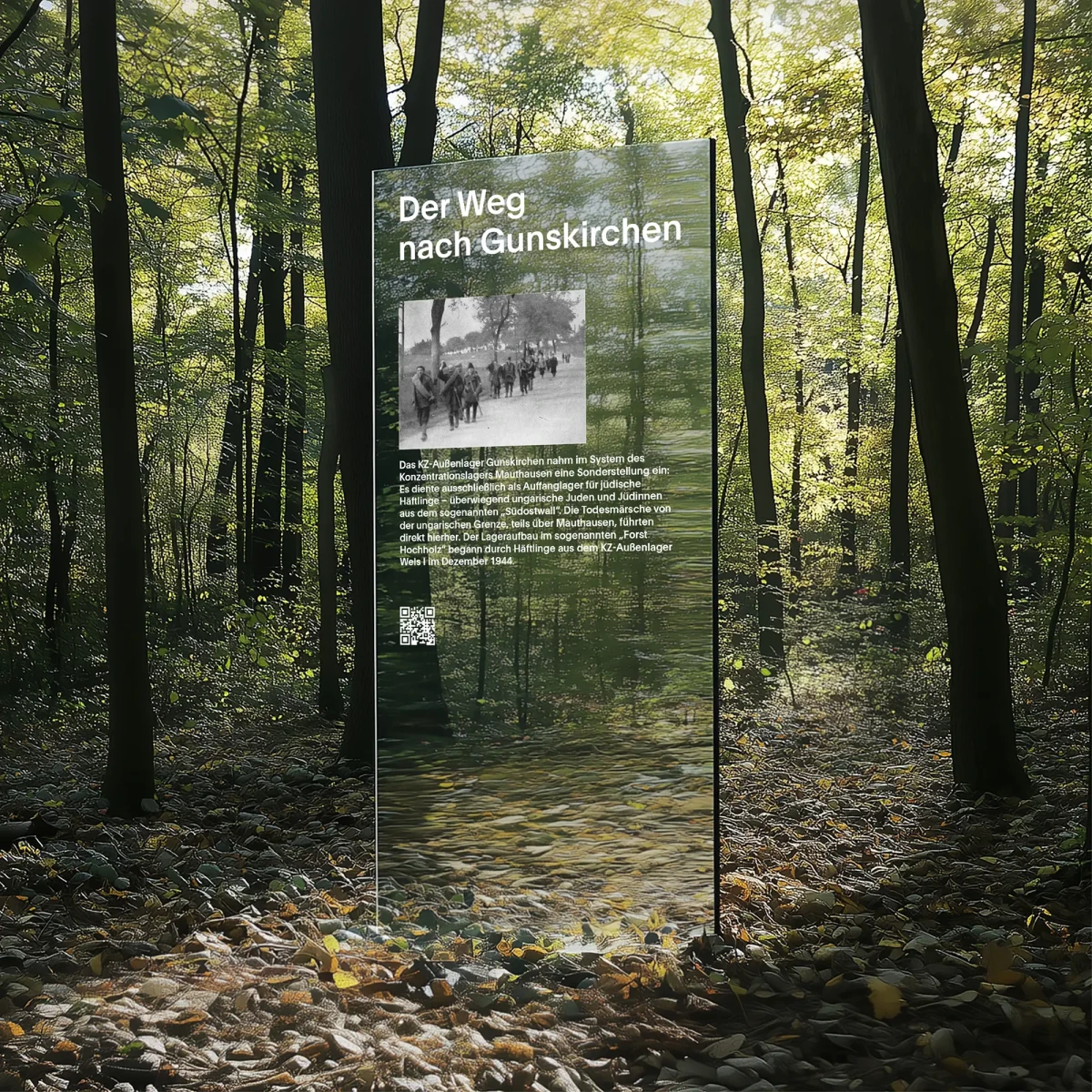 Home, Hohensinn Architektur