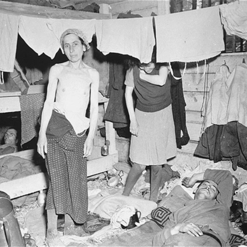 Home, Hohensinn Architektur